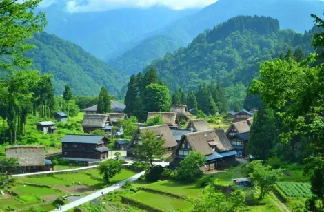 traditionelle Häuser im Dorf Gokayama