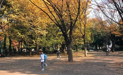 Correre in un parco colorato dall'autunno, uno dei piaceri di Tokyo.