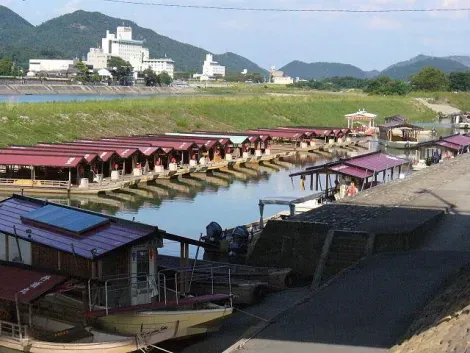 Boats to ukai