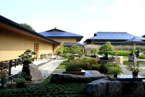 Le village des bonsais d'Omiya, dans la ville de Saitama (près de Tokyo), abrite un musée et de multiples jardins privés. 