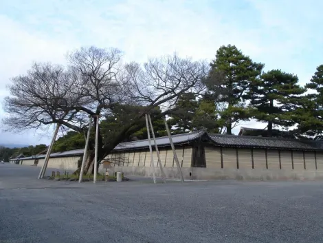 The walls of the Kyoto Imperial Palace from the imperial park.