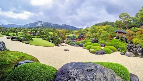 Jardín de rocas y pino en el Museo de Arte Adachi.