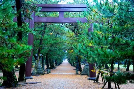 La vía central para llegar al Izumo Taisha está reservada a los kami, si la usas es a tu propio riesgo.