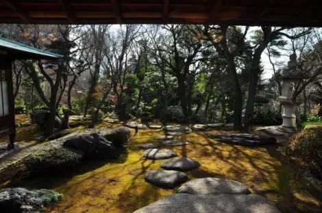 El jardín de musgo de la residencia Asakura.