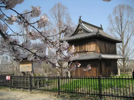 Le château de Fukuoka en avil