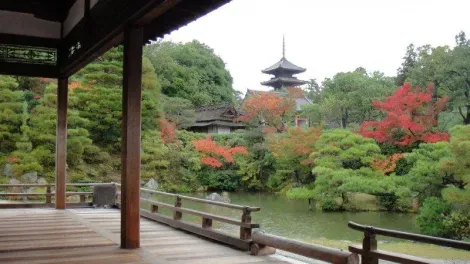Vista desde los pabellones del Ninna-ji en otoño.