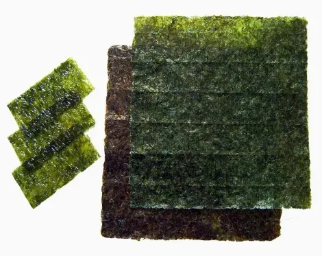 Des algues nori