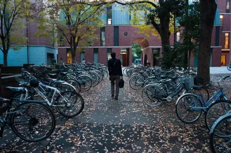 Un parking à vélos comme on en trouve partout au Japon.