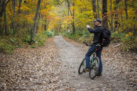 En los bosques cerca del lago Shikotsu se puede pasear en bicicleta.