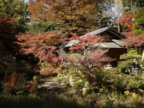 Maison de thé dans le jardin du musée Nezu