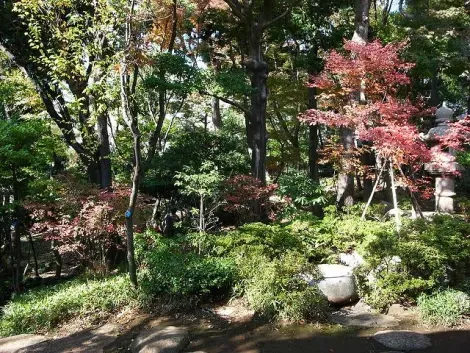 Le jardin de la maison Kyū Asakura 