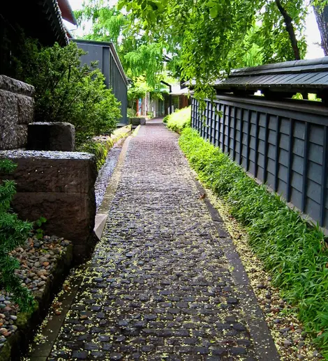 La ruelle aux châtaigniers