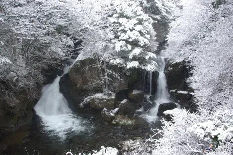 Les chutes Ryuzu, près de Nikko