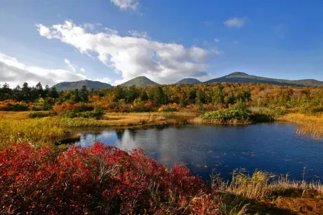 Le mont Hakkôda en automne