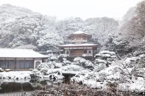 Scène rare au temple Kômyô-ji de Kamakura : le jardin sous la neige