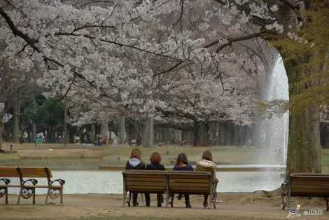 Kinuta Park in Tokyo