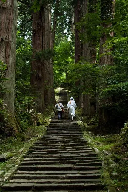 Chemin traditionnel menant à Saikan, sur le mont Haguro