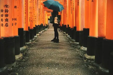 Le temple Fushimi Inari Taisha, à Kyoto, sous la pluie