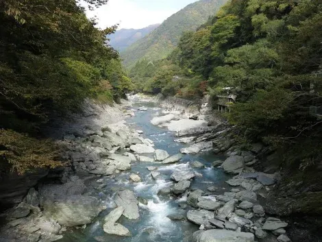 La rivière Yoshino dans la vallée d'Oboke (Shikoku)