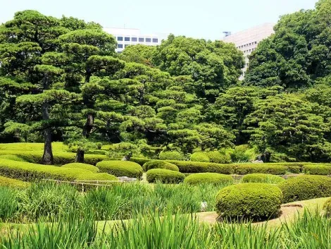 Gärten des Kaiserpalastes von Tokio