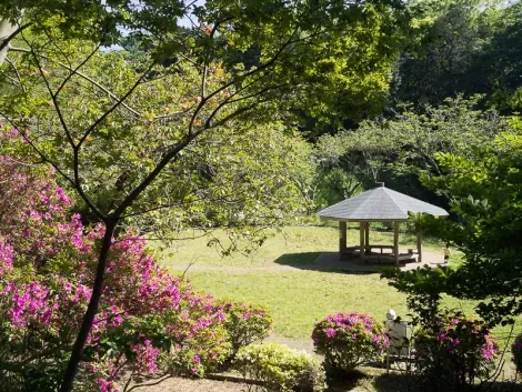 L'un des nombreux espaces aménagé dans le parc de Genji-yama Kôen à Kamakura