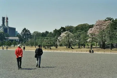 Dans les jardins du palais impérial de Tokyo