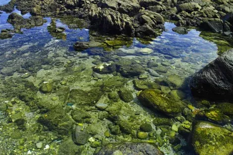 Les eaux transparentes des criques de l'île Shikine-jima