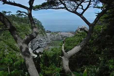 La isla de Shikine-jima tiene vegetación y relieves.