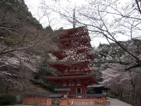 Hasedera's pagoda