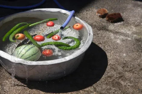 L'eau des sources est utilisée pour laver les fruits et légumes