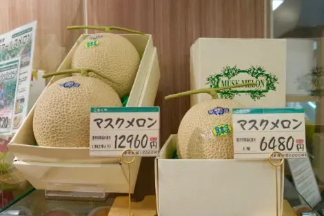 Melon Cantaloup de luxe