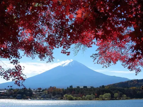 Monte Fuji durante el kōyō