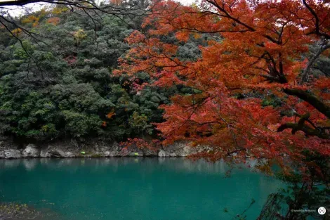 Kōyō en Arashiyama