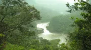 Las cascadas Kampire del río Urauchi en Iriomote