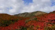 Les flancs rouges du Mont Kurikoma en automne
