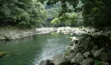 Aya est traversé par plusieurs rivières qui prennent leur source dans la forêt