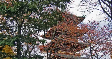 Al lado del Museo Nacional de Tokio, en Ueno, está el templo budista Kanei-ji, que tiene las tumbas de seis shogunes.