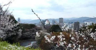 Vista de la ciudad de Hiroshima desde el parque Hijiyama-Koen.
