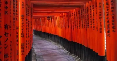 Torii im Fushimi Inari