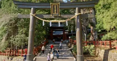 El torii del Futarasan jinja.