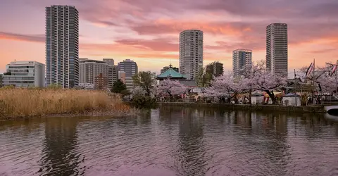 La Shinobazu Lac de Shinobazu à Uneno
