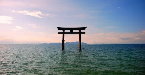 Torii Torii