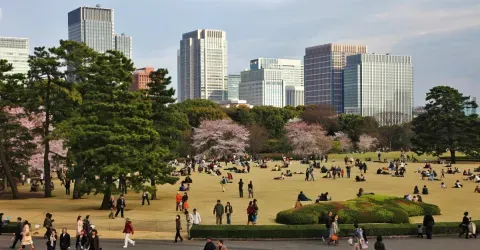 In the heart of Tokyo, the Imperial Garden is the only part open to the public gardens of the Emperor.