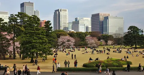 In the heart of Tokyo, the Imperial Garden is the only part open to the public gardens of the Emperor.