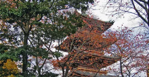 A côté du musée national de Tokyo, à Ueno, le temple bouddhique Kanei-ji recèle les sépultures de six shoguns. 