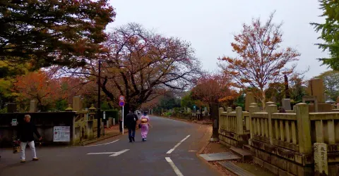 Le cimetière Yanaka en automne