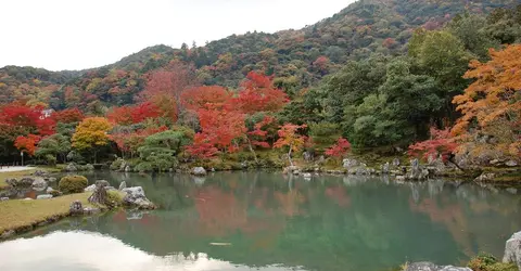 Le kôyô au temple Tenryuji à Arashiyama Le kôyô au temple Tenryuji à Arashiyama