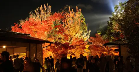 Illuminations au temple Eikando Illuminations au temple Eikando