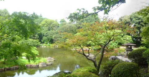 Le jardin Kyu Furukawa