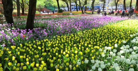 Le parc de Yokohama
